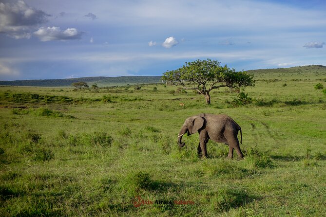 4 Days Safari Adventure Masai Mara and Nakuru Park Group - Day one: Nairobi to Masai Mara by way of the Rift Valley