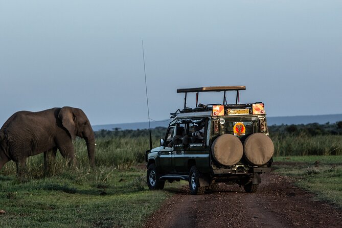 4 Days Safari from Mombasa to Amboseli and Tsavo West and East - Key Points Before You Book