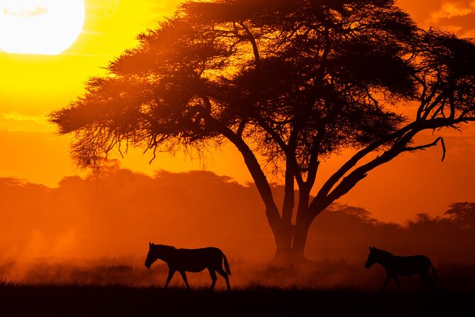 4 Days Safari from Mombasa to Amboseli and Tsavo West and East - Accommodation, Meals, and What the Price Means