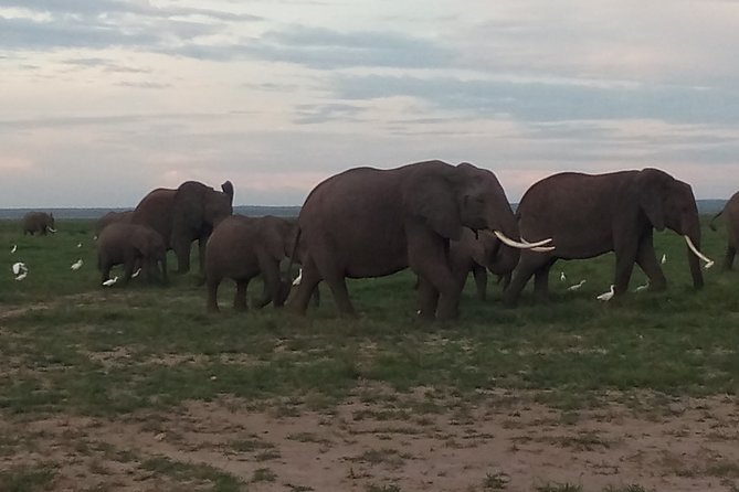 4 Days Safari to Amboseli N/P, Tsavo East N/P. - Crossing Toward Tsavo East on Day Three