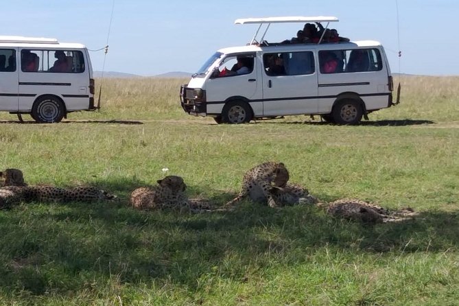 4 Days Small Group Maasai Mara and Lake Nakuru Safari - What the $311.69 price really covers
