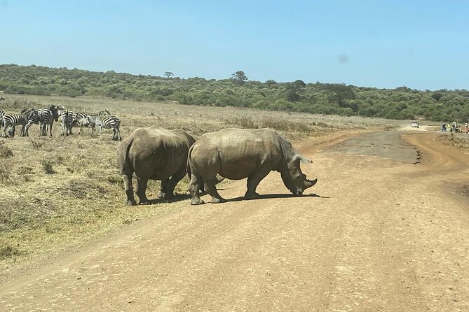 4 Days Tour Landcruiser in Masai Mara and Lake Nakuru - Lake Nakuru’s flamingos and rhinos