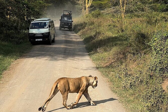 4day Maasai Mara, Lake Nakuru, and Lake Naivasha - Day four: bicycles, cliffs, and Lake Naivasha