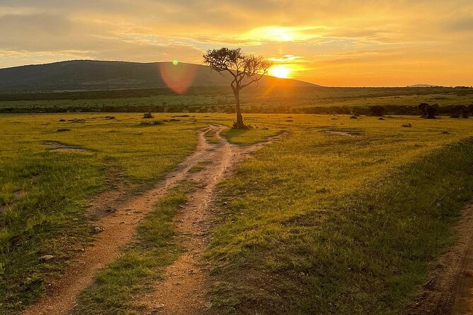 4day Maasai Mara, Lake Nakuru, and Lake Naivasha - What the $1,750 price really covers