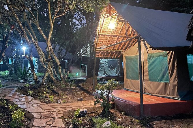 4day Maasai Mara, Lake Nakuru, and Lake Naivasha - Who will enjoy this safari most