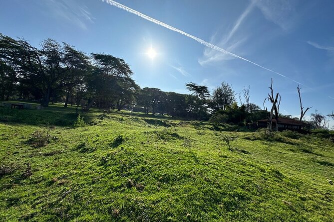 4day Maasai Mara, Lake Nakuru, and Lake Naivasha - Day one: the road to Maasai Mara and a first game drive