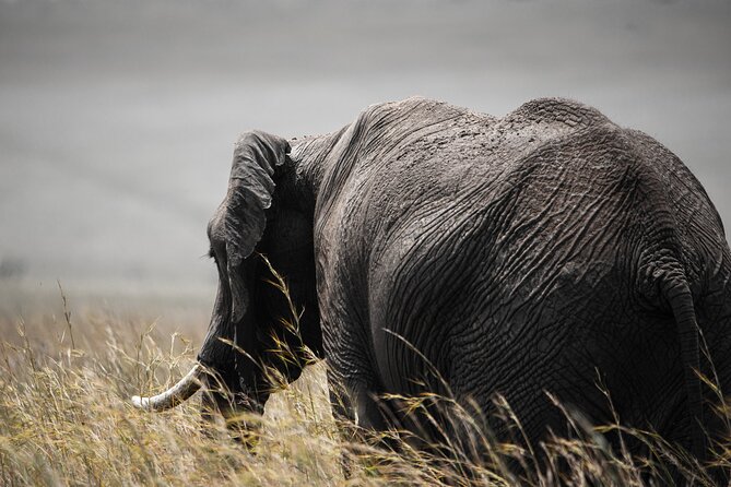 4x4 Safari in Tsavo East National Park - Tsavo East: A Big Park With Big Wildlife
