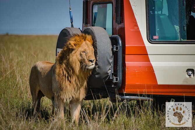 5-Day 4 Nights Masai Mara-L Nakuru-Hell's Gate Budget Safari - Starting in Nairobi and crossing the Rift Valley