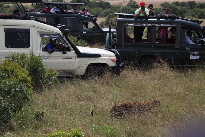 5-Day Private Tour in Kenya's Best Game Parks - What the $1,425 price may be worth