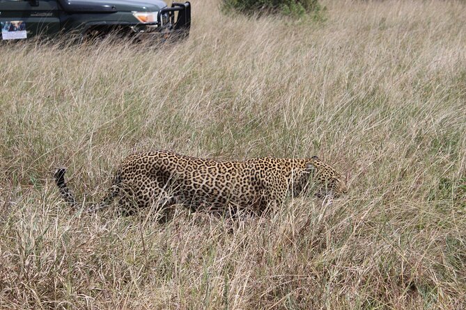 5-Day Private Tour in Kenya's Best Game Parks - Day 2: Lake Nakuru’s birds, rhinos, and Baboon Cliff