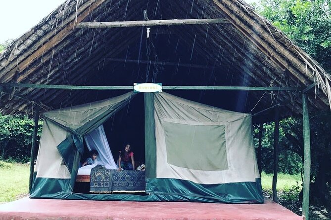 5-Day Safari in Maasai Mara, Lake Nakuru and Naivasha - What this five-day Kenya safari is really like