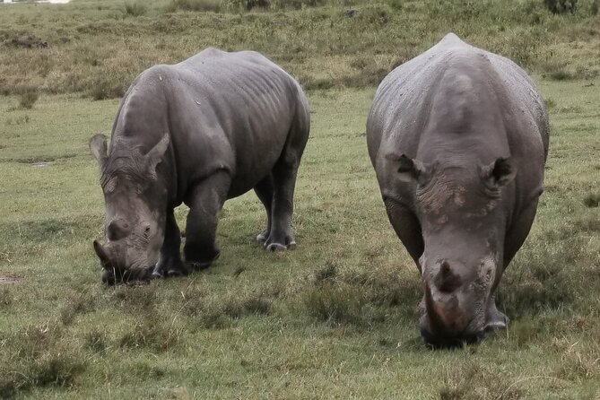 5-Day Safari in Maasai Mara, Lake Nakuru and Naivasha - Maasai Mara: two days in Kenya’s best-known reserve