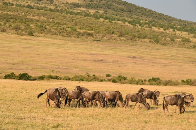5-Day Safari in Maasai Mara, Lake Nakuru and Naivasha - Hell’s Gate brings a more active final day
