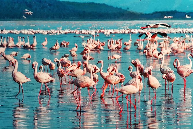 5 Days/4 Nights Kenya Safari - Why this Kenya safari route works
