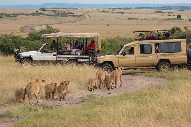 5 Days/4 Nights Kenya Safari - Day 4: Lake Nakuru, then onward toward Amboseli