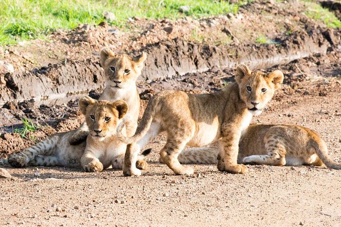 5 Days/4 Nights Kenya Safari - What the $1,546 price really covers