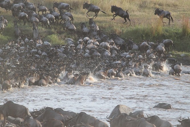 5 Days/4 Nights Kenya Safari - Day 1: Nairobi to Maasai Mara through the Great Rift Valley
