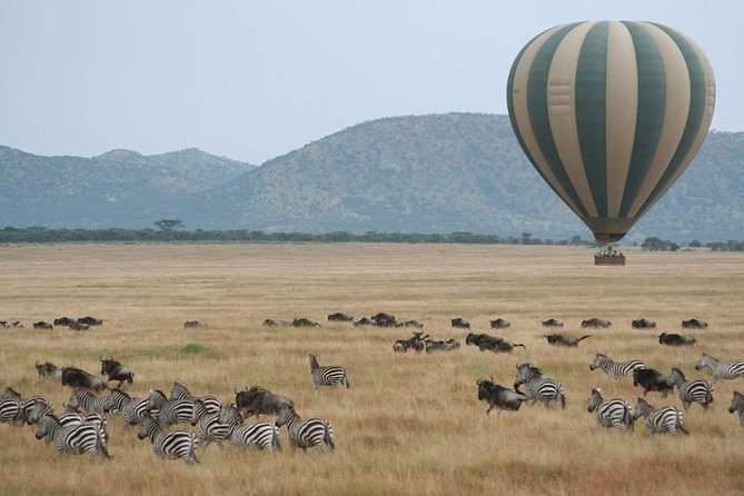 5 Days Best Of Kenya Safari - Day 1: Nairobi to Maasai Mara