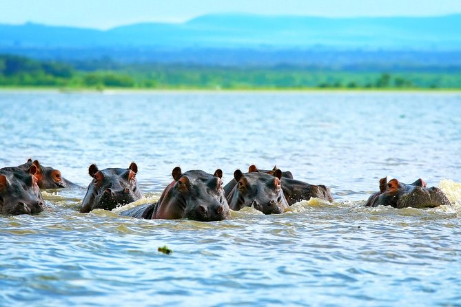 5 Days Hell's Gate, L. Naivasha, L. Nakuru & Masai Mara Luxury Safari - Four parks and reserves in five days