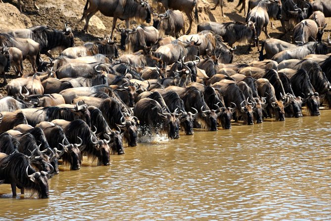 5 Days Hell's Gate, L. Naivasha, L. Nakuru & Masai Mara Luxury Safari - Day 5: Returning to Nairobi with a Rift Valley stop