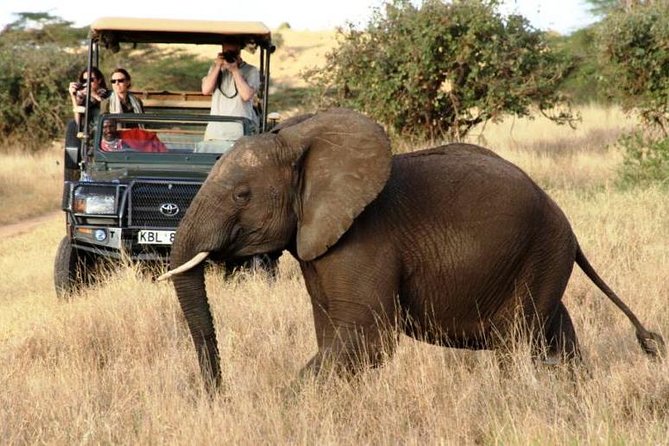 5 Days Kenya Masai Mara and Lake Nakuru Private Tour - Lake Nakuru brings rhinos and birds