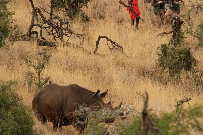 5 Days Kenya Masai Mara and Lake Nakuru Private Tour - The final morning at Lake Nakuru