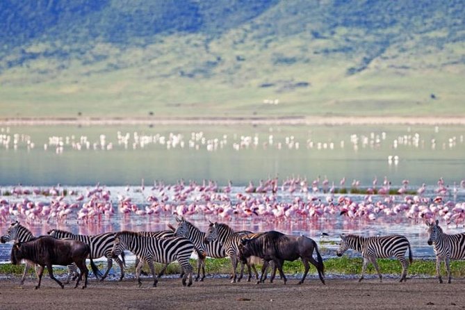 5 Days Kenya Masai Mara and Lake Nakuru Private Tour - Who will enjoy this safari most