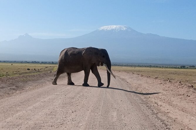 5 Days Lake Naivasha, Lake Nakuru, & Masai Mara - Reaching Masai Mara on day three