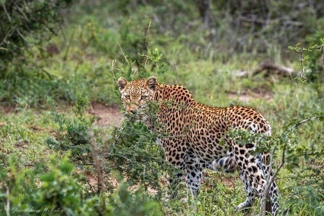 5 Days Lake Nakuru-Lake Naivasha & Maasai Mara Safari - Day 2: Bicycles, gorges, and Crescent Island