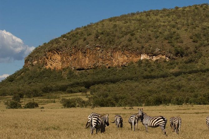 5 Days Maasai mara, Lake Nakuru, samburu private lodge safari - Day 2: A full Maasai Mara game drive