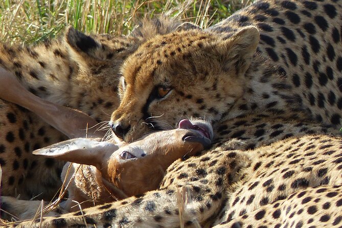 5 Days Magical Kenya Safari Private Tour - Day 1: Ol Pejeta Conservancy near the equator
