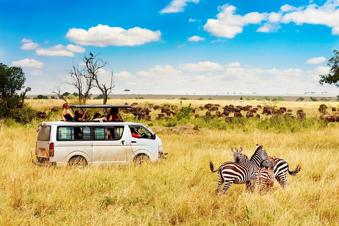 5 Days Masai Mara, Lake Nakuru & Naivasha Budget Joining Safari - Day 4: Lake Nakurus rhinos, birds, and flamingos