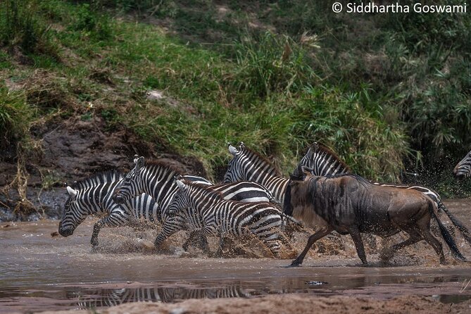 5 days Masai Mara Wildebeest migration safari - Your first night in Nairobi after the airport