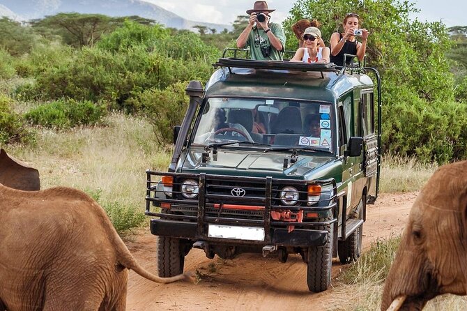 5 Days Mombasa,Tsavo East, Taita Salt Lick, Tsavo West, Amboseli, - Key points at a glance