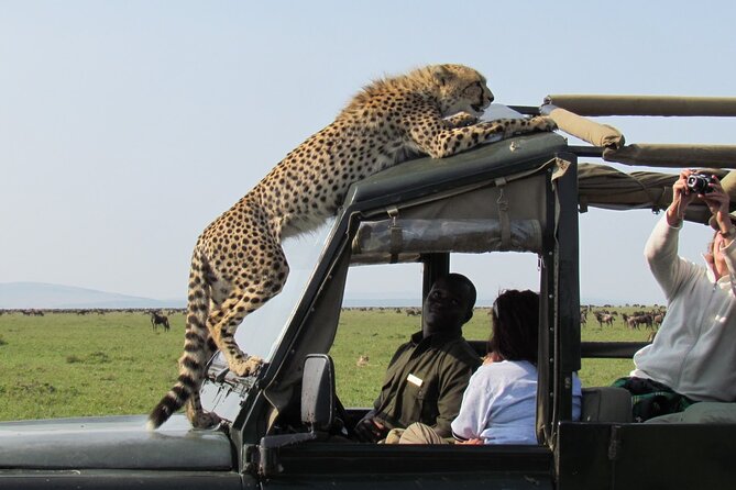 5 Days Mombasa,Tsavo East, Taita Salt Lick, Tsavo West, Amboseli, - What this Mombasa to Nairobi route really offers
