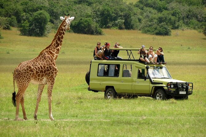 5 Days Mombasa,Tsavo East, Taita Salt Lick, Tsavo West, Amboseli, - Accommodation, meals, and daily comfort