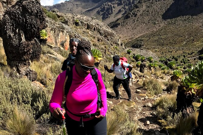 5 Days Mt. Kenya Sirimon route out Chogoria Route with Peak Circuit - What the $960 price really includes