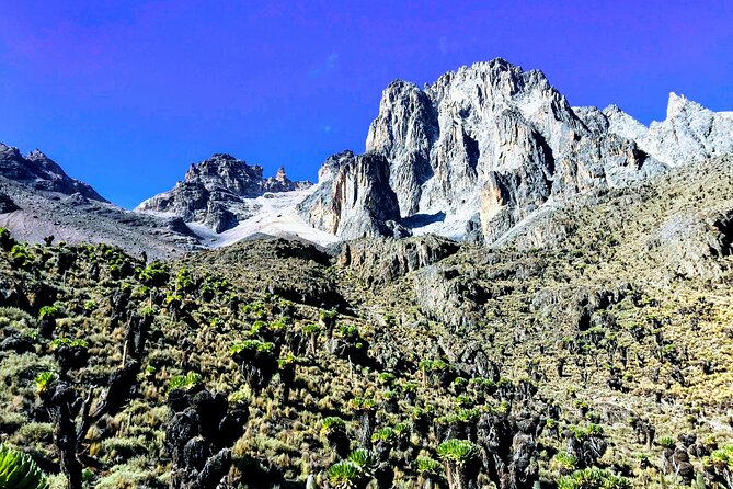 5 Days Mt. Kenya Sirimon route out Chogoria Route with Peak Circuit - Guides, cooks, and porters are central to the trip