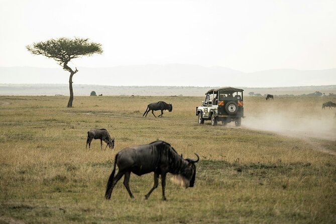 5 Days of Kenyan Magic: A Whirlwind Safari Adventure - Lake Naivasha brings a quieter afternoon