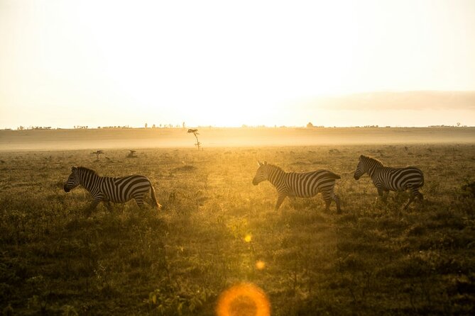 5 Days of Kenyan Magic: A Whirlwind Safari Adventure - The optional Hell’s Gate finale