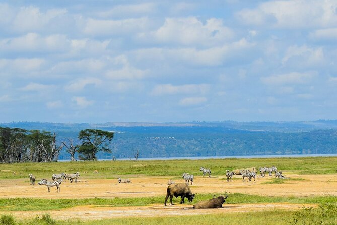 5 Days of Kenyan Magic: A Whirlwind Safari Adventure - Guides, service, and the human side of the trip