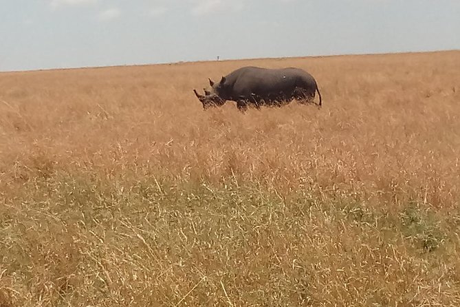 5 Days Safari to Amboseli N/P, Lake Naivasha, Maasai Mara N/R. - Day 2: Rift Valley views and a boat on Naivasha