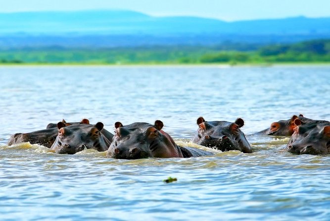 5 Days safari to Maasai Mara ,Lake Nakuru and Hell's gate national park - Key points at a glance