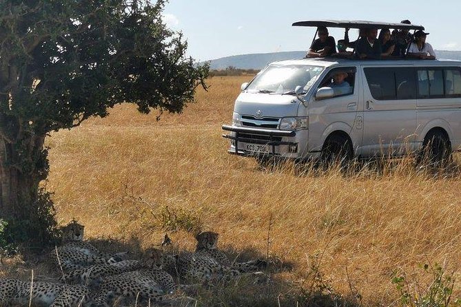 5 Days safari to Maasai Mara ,Lake Nakuru and Hell's gate national park - Day 2: A full Maasai Mara game day