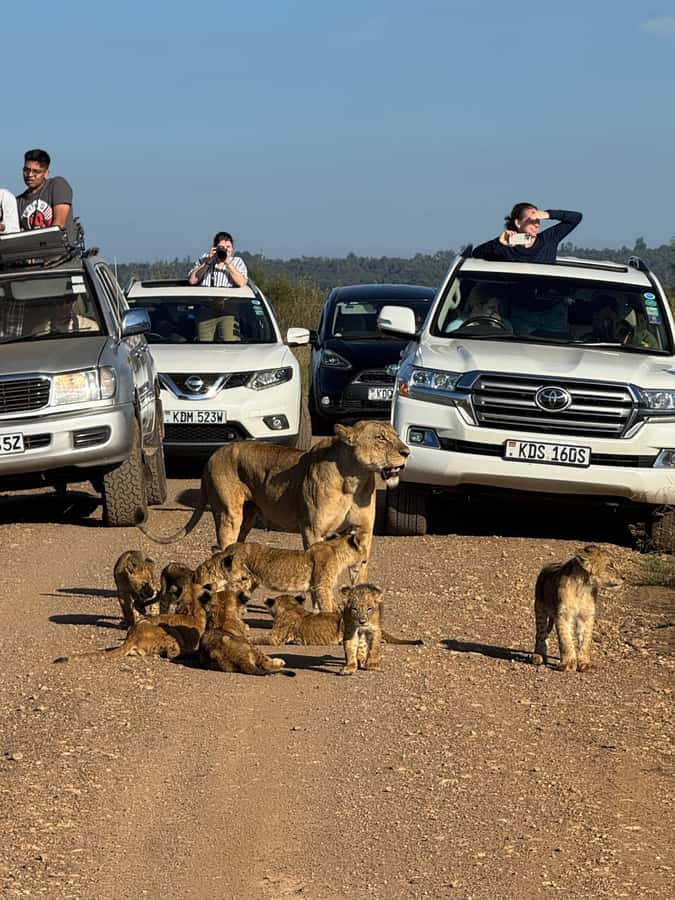5-Hour Nairobi National Park 4x4 Safari with Free Pickup - Key points at a glance