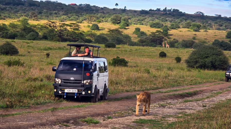 5-Hour Nairobi National Park 4x4 Safari with Free Pickup - Entering the park and looking for wildlife