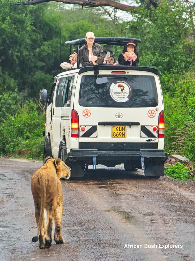 5-Hour Nairobi National Park 4x4 Safari with Free Pickup - Shared, small-group, or private vehicle