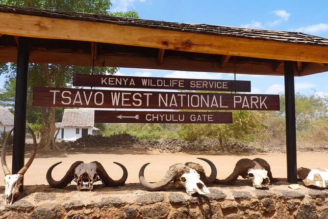 5days Tour Tsavo East & west, Amboseli from Mombasa / Nairobi - Day 4: A full day around Amboseli and Observation Hill