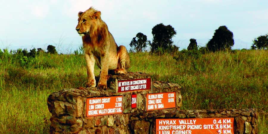 5Hrs Nairobi National Park MorningEvening Gamedrive 4x4 Van - Key points before you book