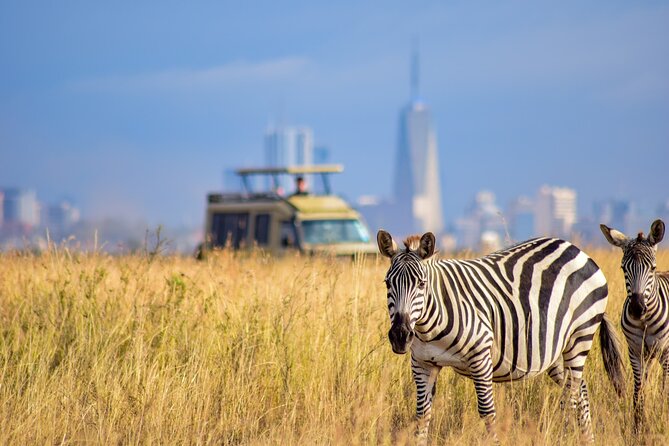 5Hrs Nairobi National Park MorningEvening gamedrive 4x4 vehicle - The ivory burning site and picnic area